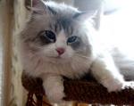 Quant Formula Uspekha*RUS (����)