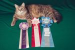 ��������� ����� ������ ��������� (����)