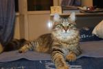 Tayozhny-kray Nanzhul' (����)
