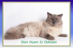 ��� ���� �� ������� (����)