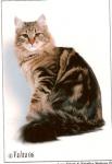 ������ ������ (����)
