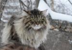 Tayozhny-Kray Xajryuza (����)
