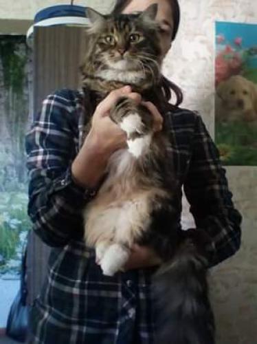 Glafira Gladness Ray (����)