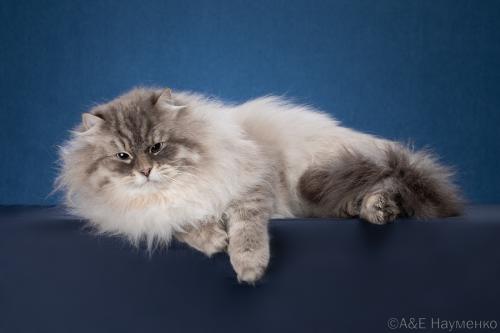 Hazar Russian Diamond (����)