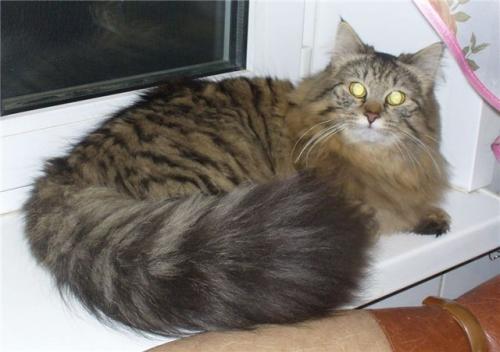 Ը��� ������-���.*RU (����)