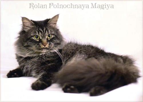 Rolan Polnochnaya Magiya (����)