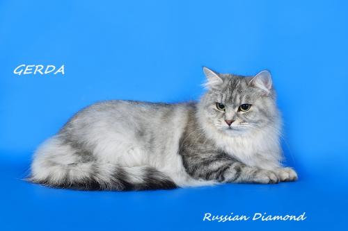 Gerda Russian Diamond ()