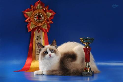 Beatrisa Snehcnaya Sibir (����)