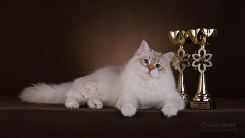 Casper Russian Diamond (����)