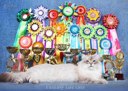 Fabian Fantasy Life (����)